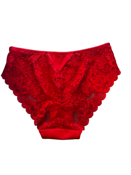Culotte microfibre Delphine